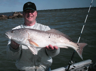 www.captdaves.com