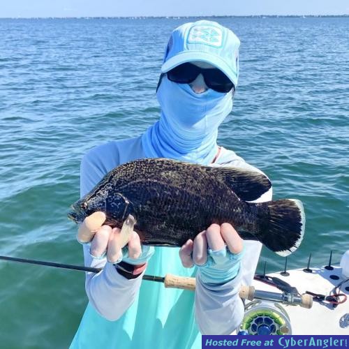 Click to Enlarge Photo