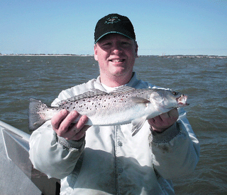 www.captdaves.com
