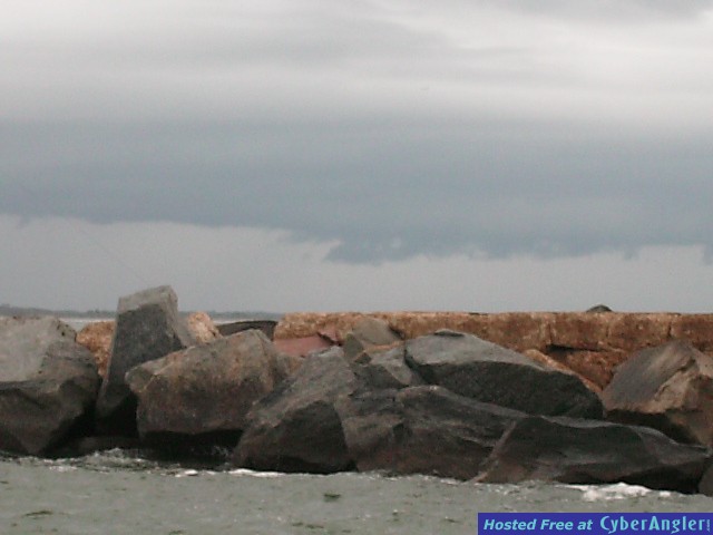 PICT00131