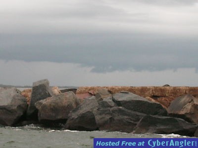 Click to Enlarge Photo