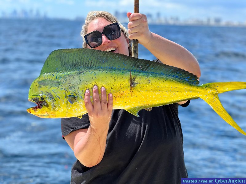 Mahi