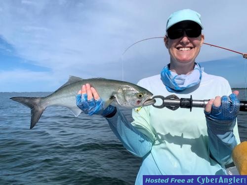 Click to Enlarge Photo