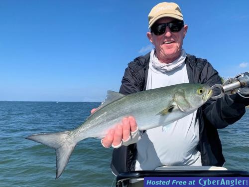 Click to Enlarge Photo