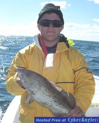 Click to Enlarge Photo