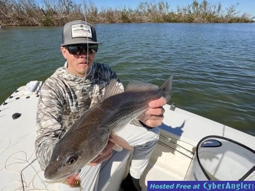 Click to Enlarge Photo