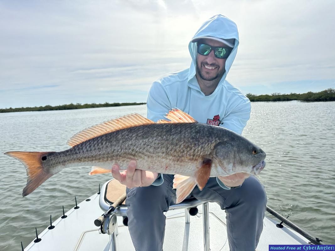 Florida_Redfish_Fly_Fishing_Guide