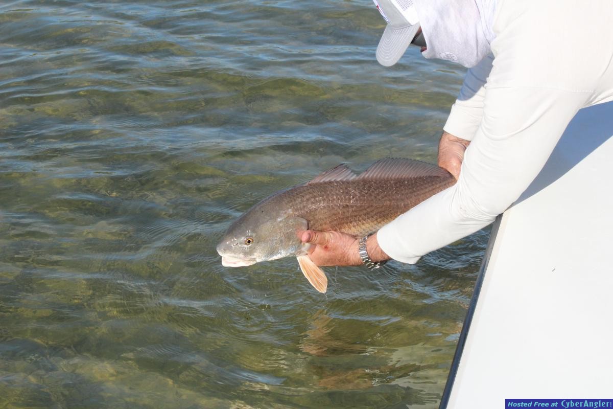 Shallow_Water_Fly_Fishing_Guide