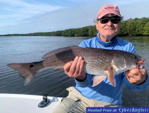 Click to Enlarge Photo