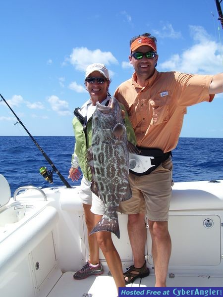 Large Grouper