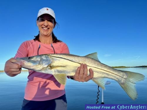 Click to Enlarge Photo