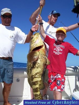 Goliath Grouper