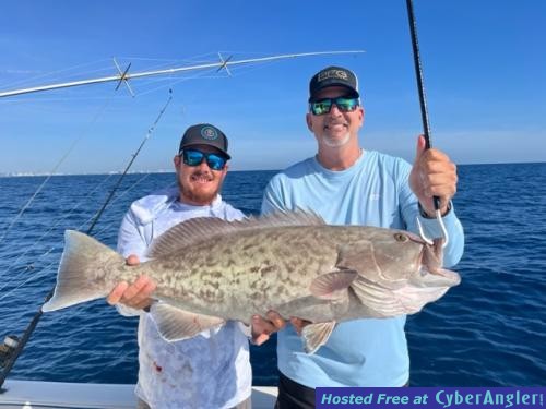 Sailfish_Grouper_February__2023