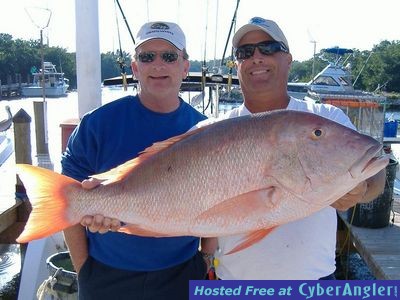 Mutton Snapper