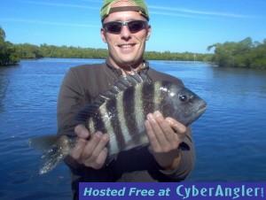 18 inch sheepshead