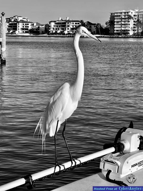 IMG_2281