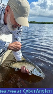 Click to Enlarge Photo