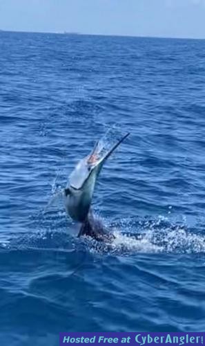 Click to Enlarge Photo