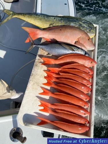 Click to Enlarge Photo