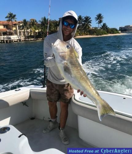 Click to Enlarge Photo