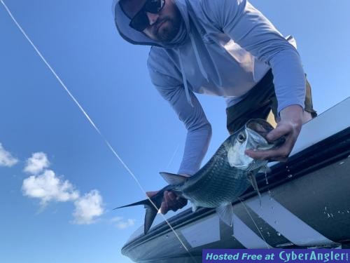 Click to Enlarge Photo