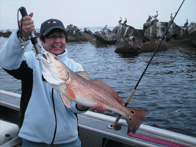 www.captdaves.com