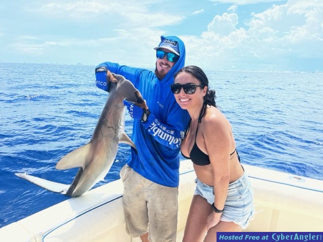July_August_hammerhead2