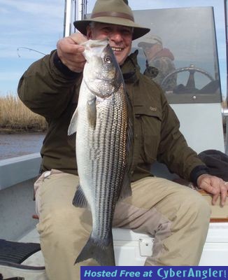 Click to Enlarge Photo