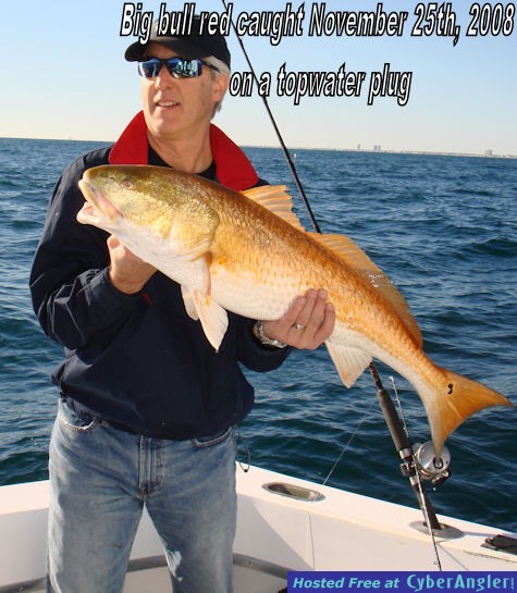 Redfish caught on topwater plug