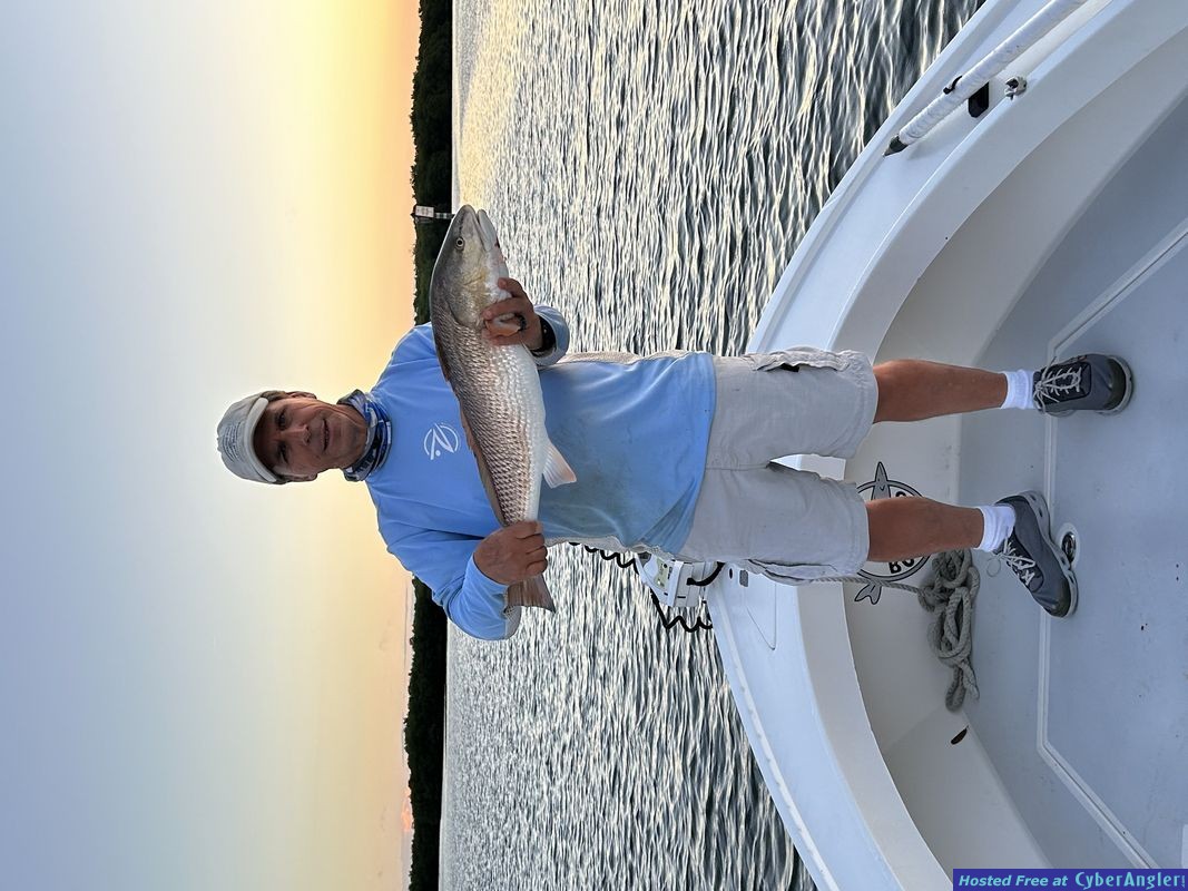 Redfish