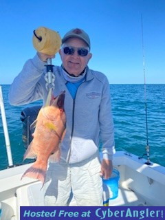 Hogfish