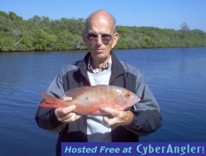 17 inch mutton snapper