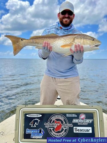 Click to Enlarge Photo