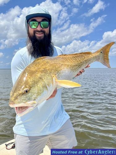 Click to Enlarge Photo