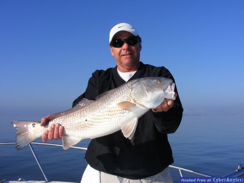 Redfish-Creekside Charters