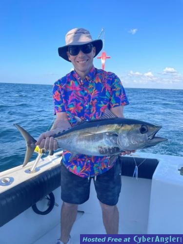 miami_blackfin_tuna