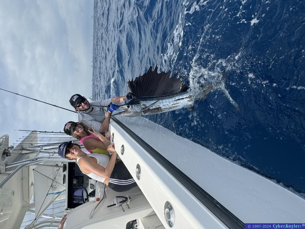 Click to Enlarge Photo