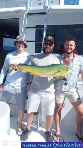 Click to Enlarge Photo