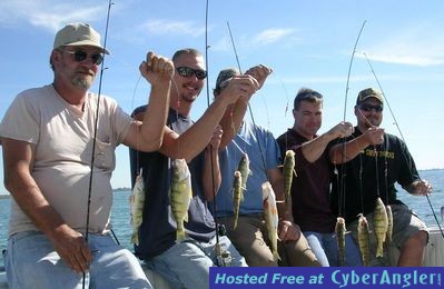 Tasty yellow perch caught on Lake Erie with Erie Quest Charters