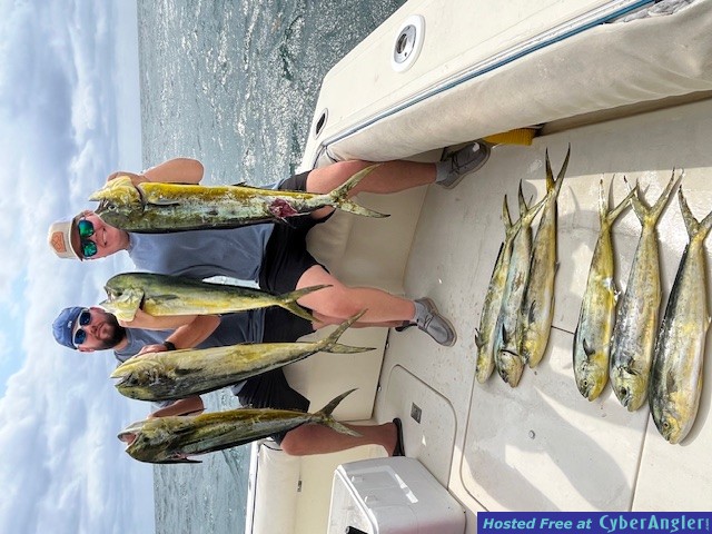 Oct_2024_Mahi