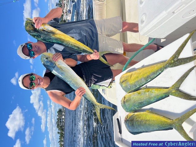 November_2024_Mahi