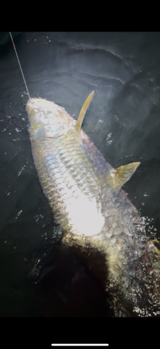 Click to Enlarge Photo