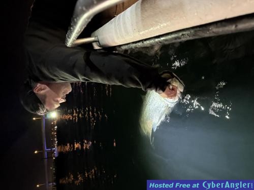 Click to Enlarge Photo