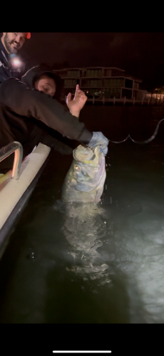 Click to Enlarge Photo