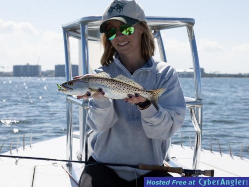 Click to Enlarge Photo