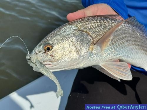 Click to Enlarge Photo