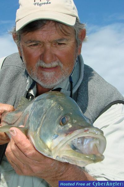 Snook