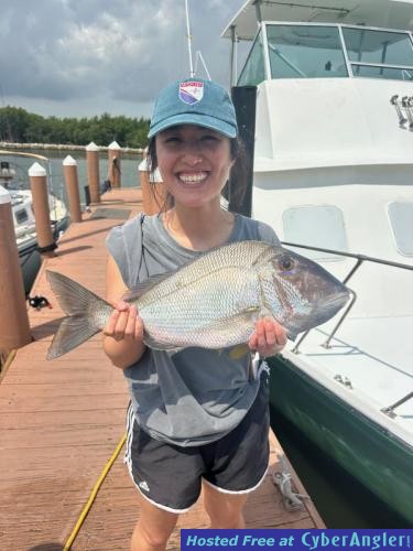 Click to Enlarge Photo