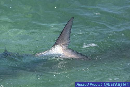 Click to Enlarge Photo