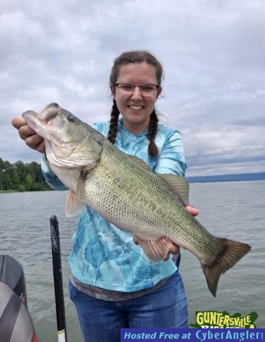 Click to Enlarge Photo